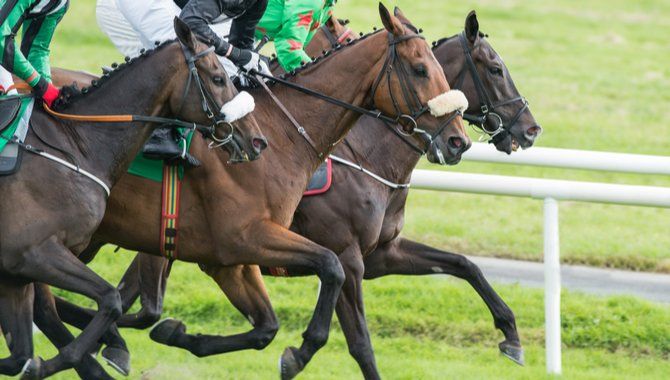 Racecourse Media Group and Flutter Entertainment form long-term content partnership