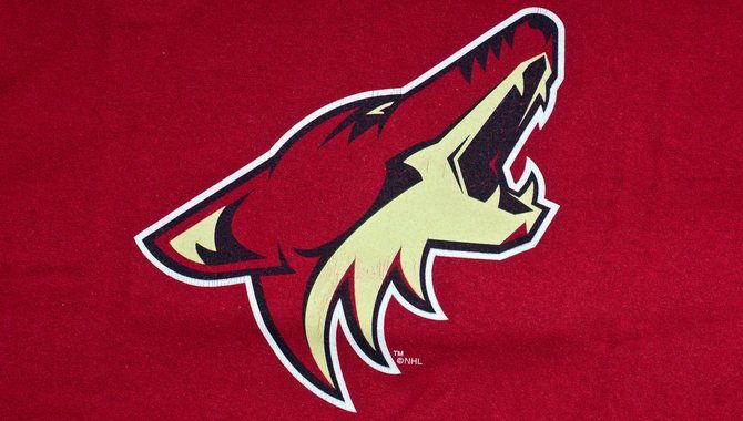 Arizona Coyotes pushes for sports betting legalisation in temporary stadium