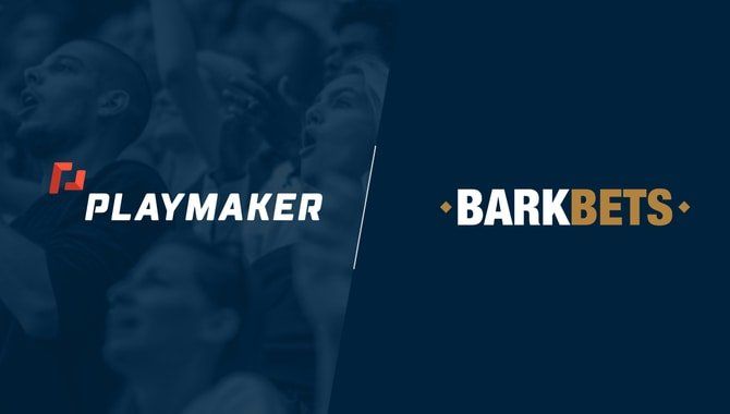 Playmaker Capital brand launches betting-focused newsletter